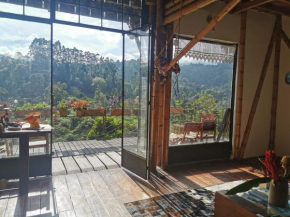 Casa Tien